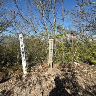 笹子雁ヶ腹摺山山頂
眺望いまいち…