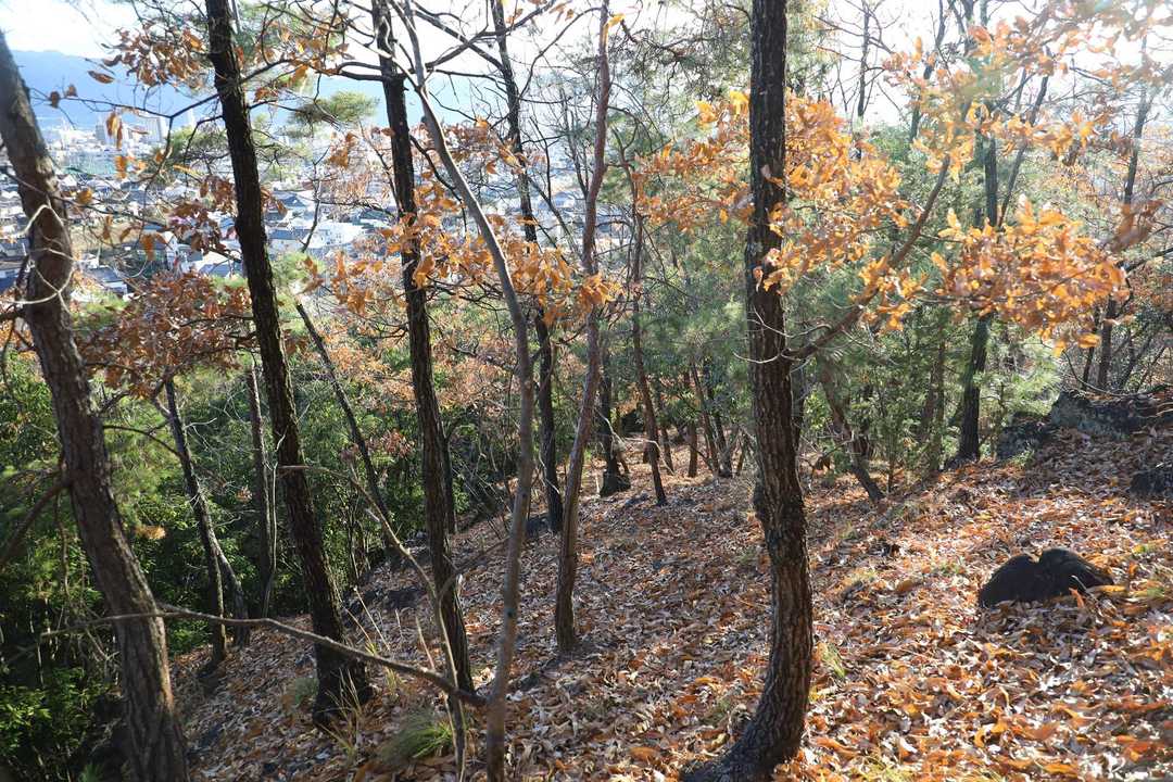 左側の崖を迂回しながら道なり下る