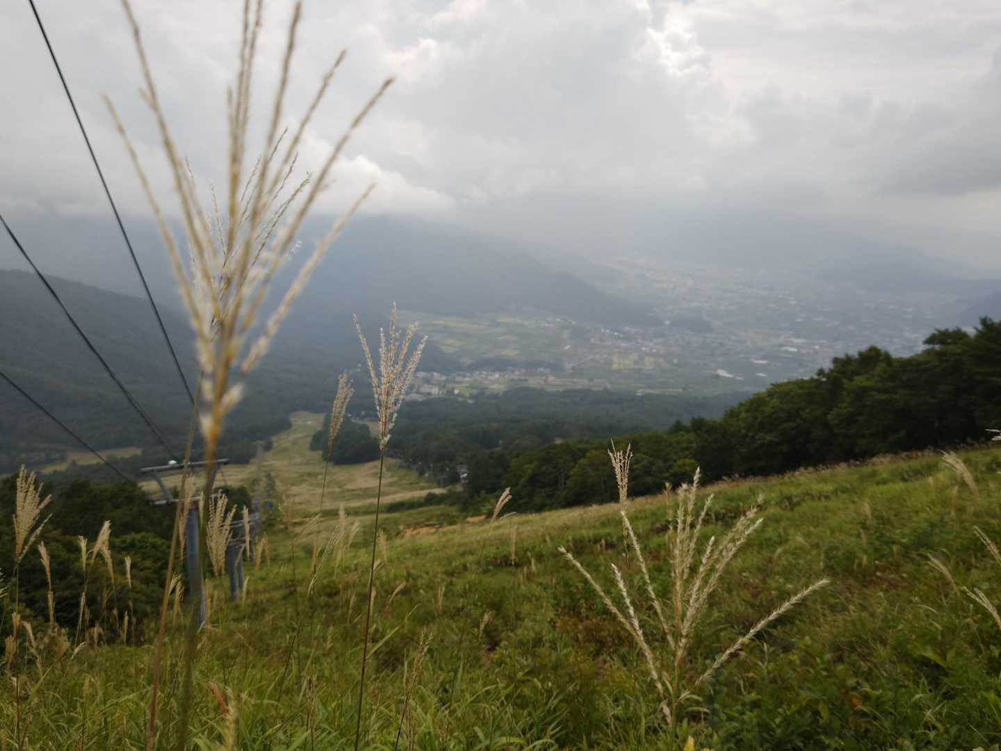 高社山 往復コースの写真