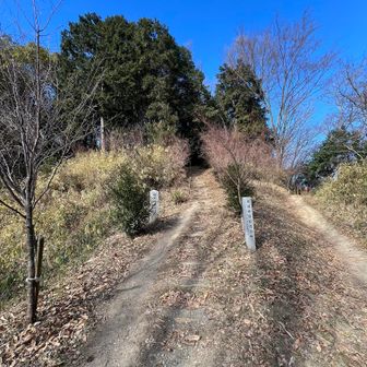風が強いので風の通らない場所に移動。