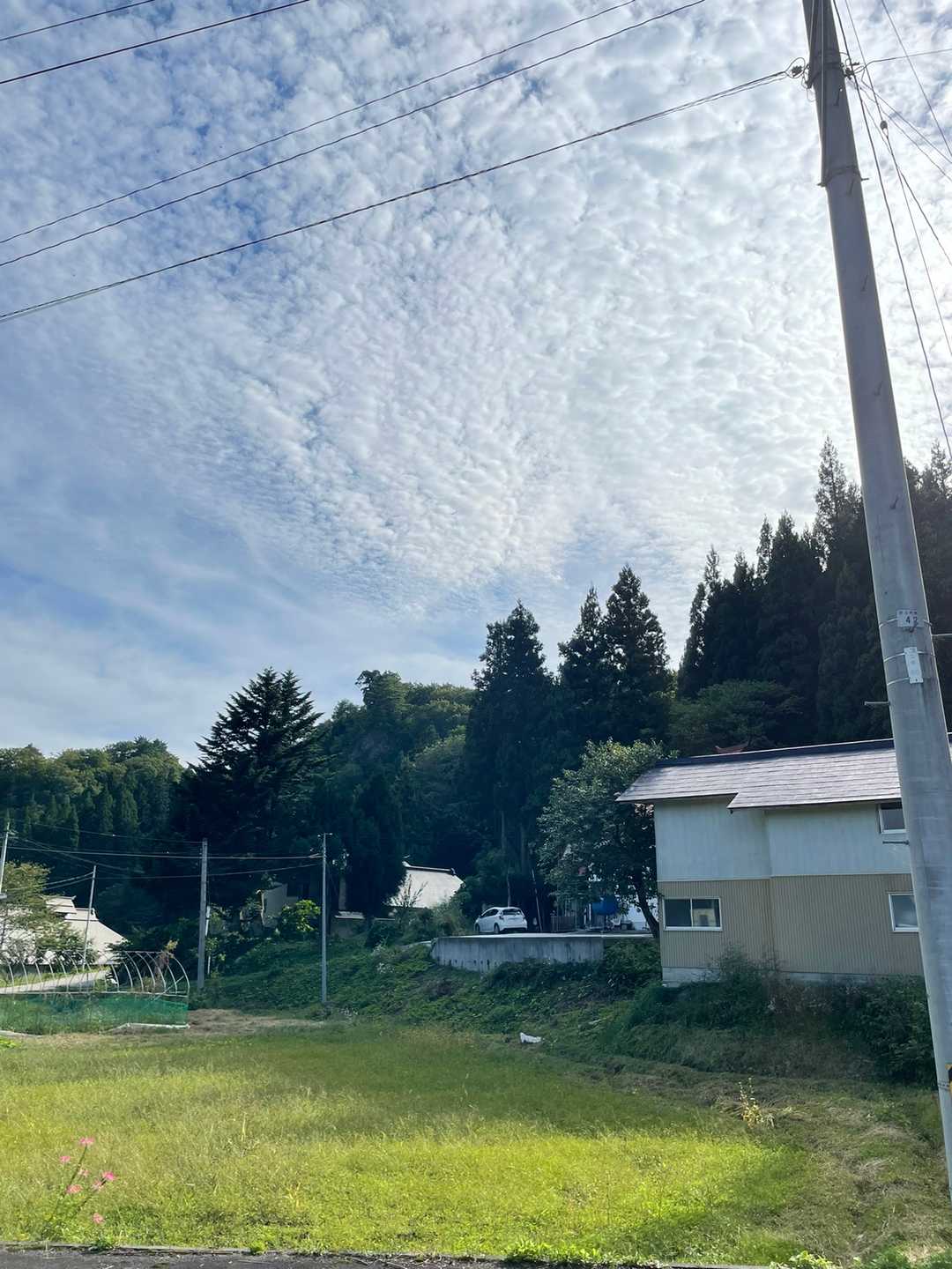 車の場所まで道路を歩いて戻りますね