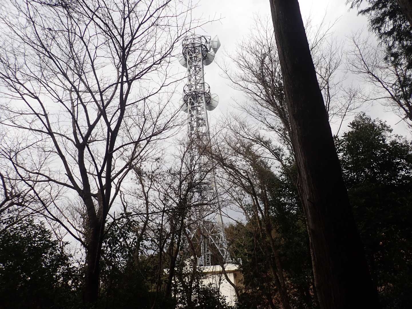 電波塔