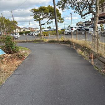 無事下山。いつもよりゆっくりめでしたが、それでも最後の降りは膝に来ました。私にはこのくらいが限界です。嫁に迎えに来てもらい、速攻で温泉に行きます。お疲れ山でした！