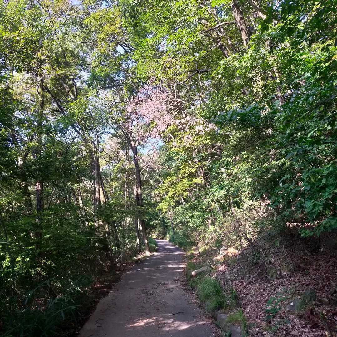 甲府市街にある緑ヶ丘スポーツ公園からスタート。