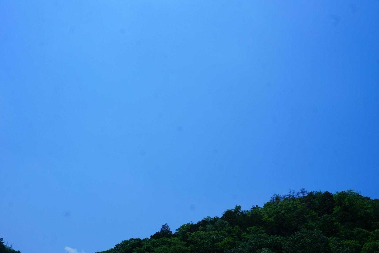 今日は白髪日和や〜😃
遅めのスタートで…