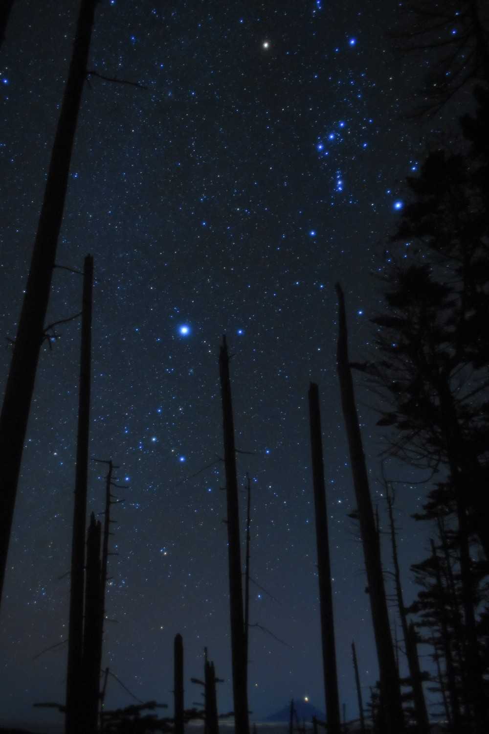これを撮りたかった☺️
オリオン座、シリウス、富士山、そして、カノープス✨