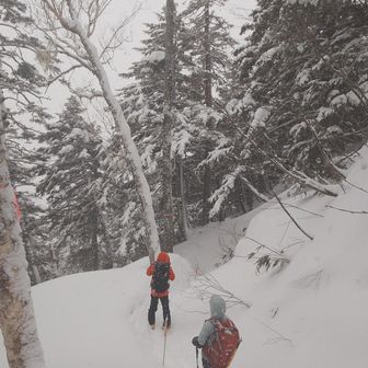 気持ちよく歩ける