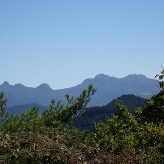 ここも木が茂って来ると見えなくなってくるかな、手をばんざいして撮ってやっとこれ