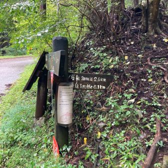 二ノ塔、三ノ塔、塔ノ岳の順に向かいます⛰️