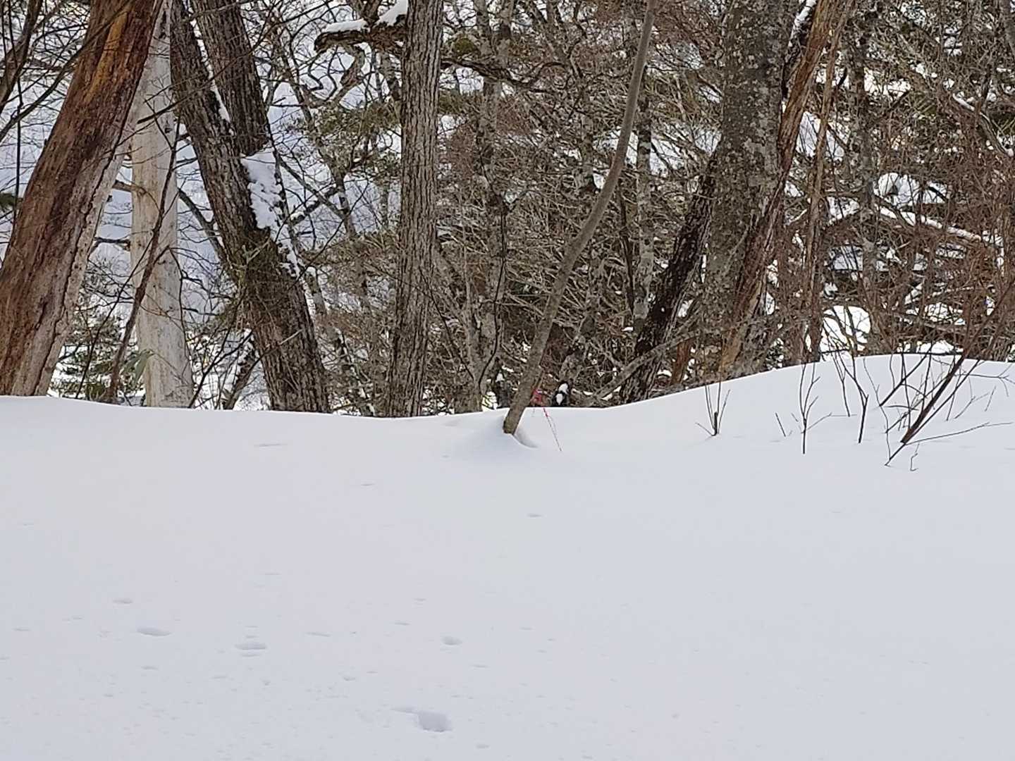 山頂着
山名板は見つけられませんでした
埋まってる？
湖にいる釣り人の笑い声が聞こえます