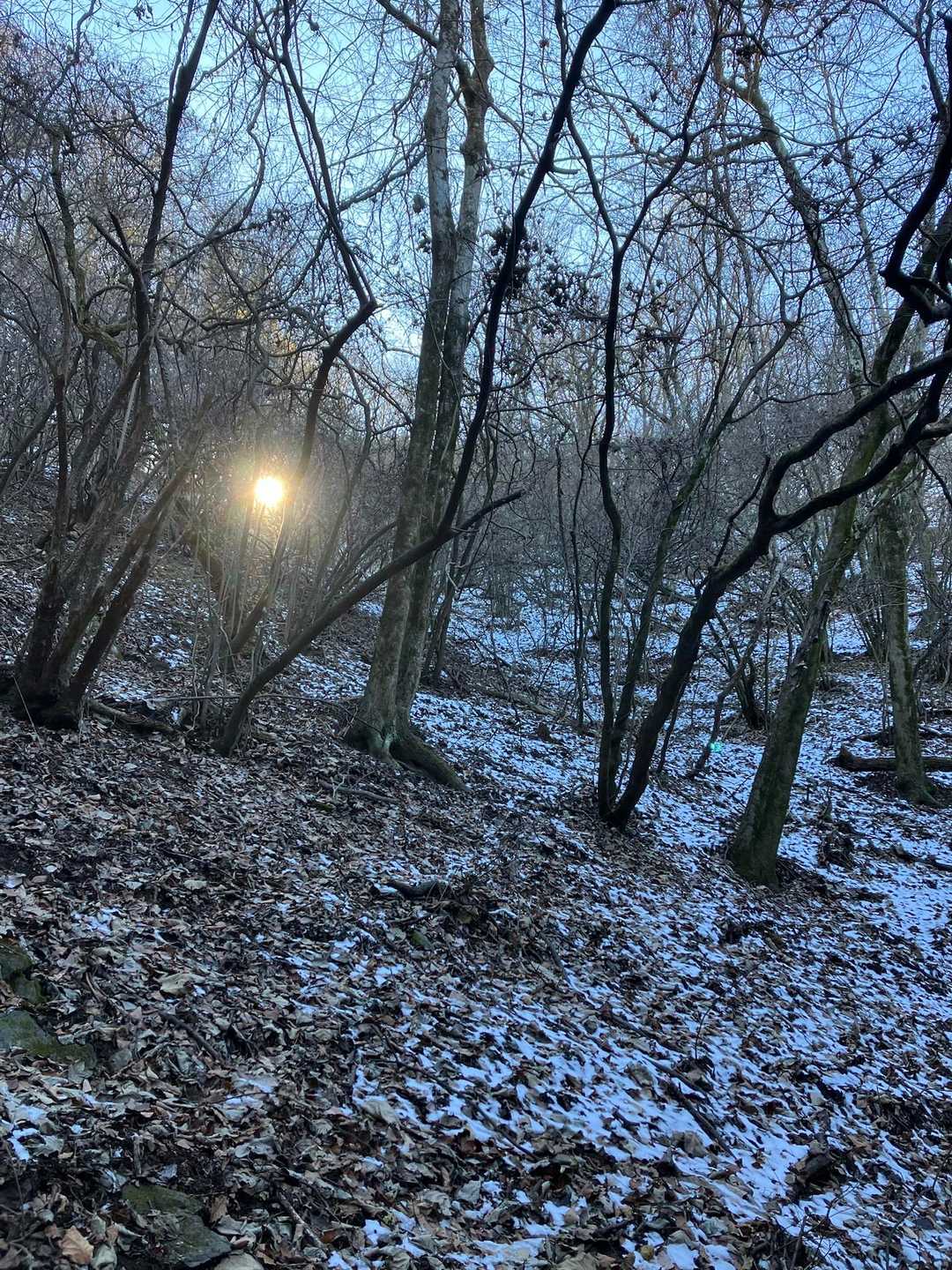 雪が残っています