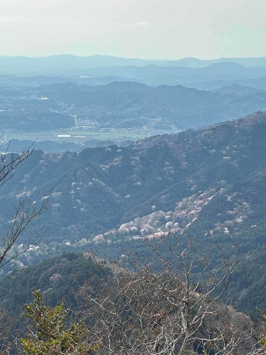 観音岳 往復コースの写真