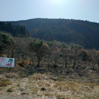 野焼きの跡が残る
山火事に注意⚠️の看板があるが