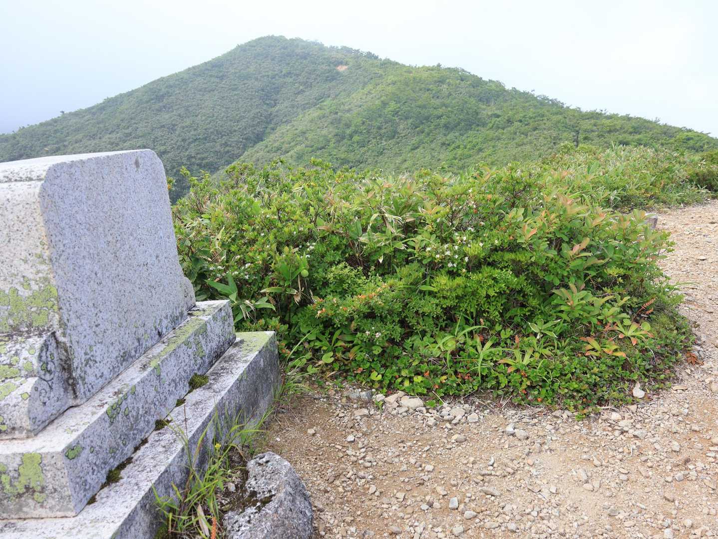 「富山県の山」の写真ではここが中金剛として紹介されていますが、山頂標識は奥の山にありました

字が読めない歌碑
越中富山藩第10代藩主の前田利保公の
「飛騨信濃 木曽の峰々みな見えて 西はのこさぬ白木やまかな」
の歌が刻まれています