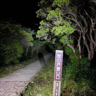 牧の戸から朝駆けスタート