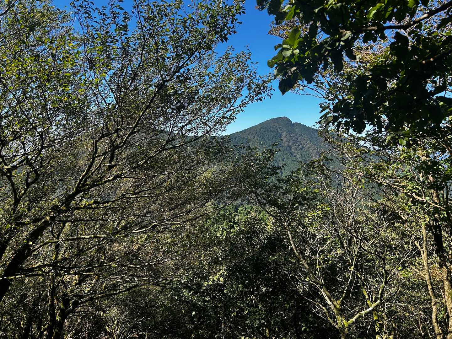 古処山登山口-古処山-屏山-江川岳-宇土浦越-馬見山 周回コースの写真