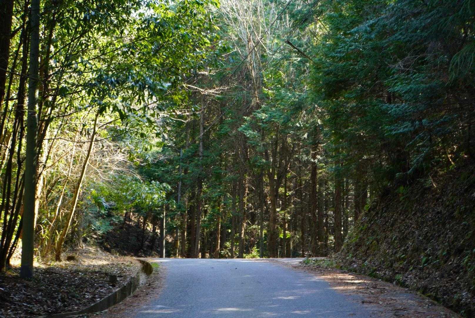 ひたすら舗装路😅

今日は暑い🥵