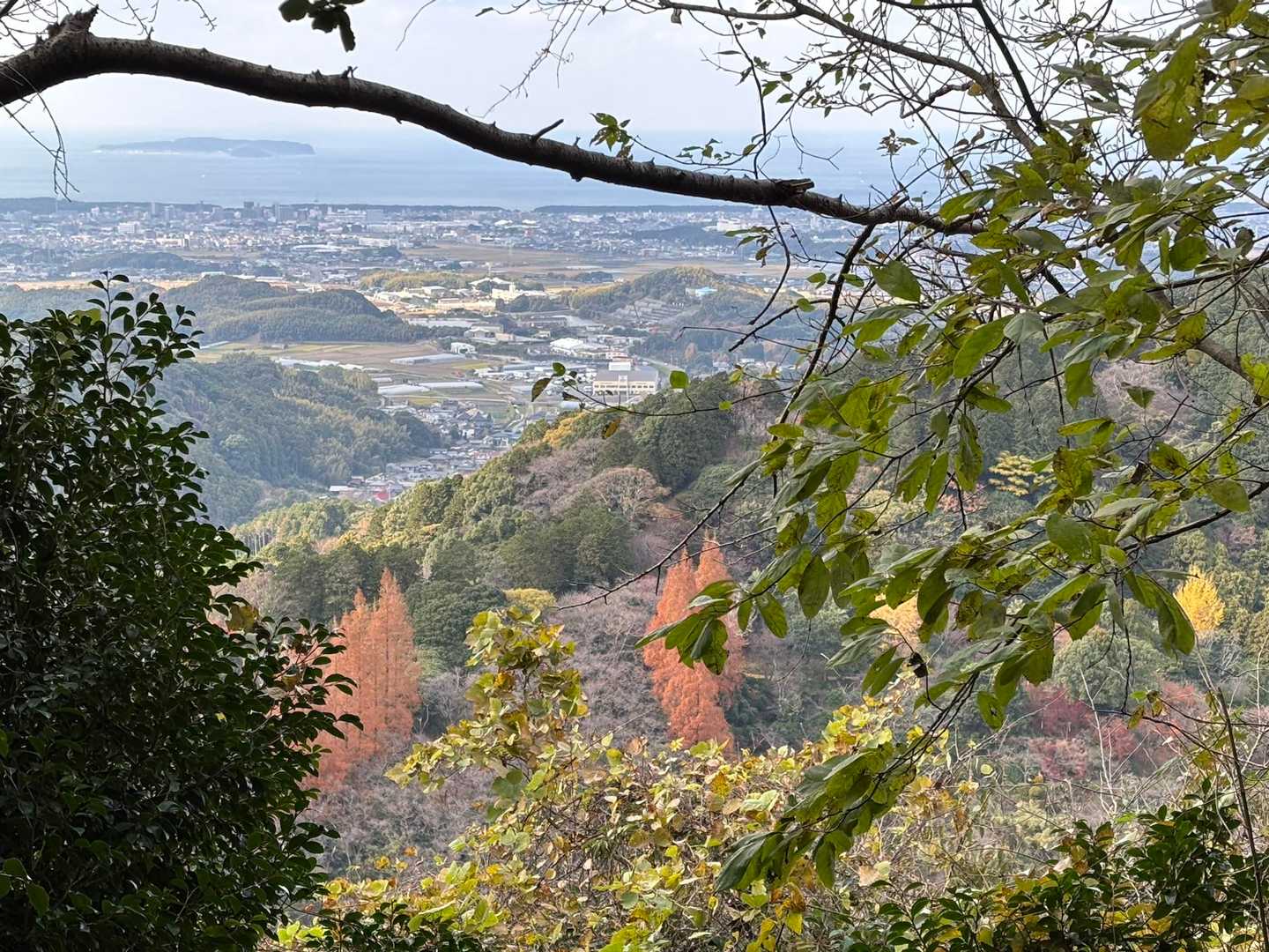 本日唯一の眺望👀