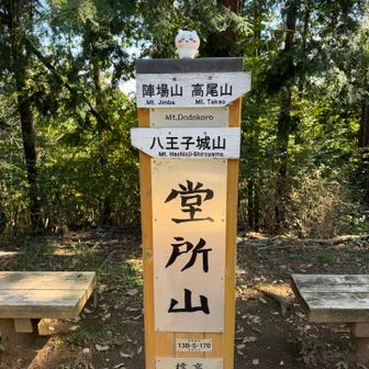 堂所山　店はない