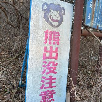 この絵のパターン初🐻

栗、果物いっぱい落ちてたけど
特に気配とか痕跡はなし
くまっぷで出没状況も確認済み

ちなみにスライド1人
追い越し2人
山頂先客1人
すくな笑