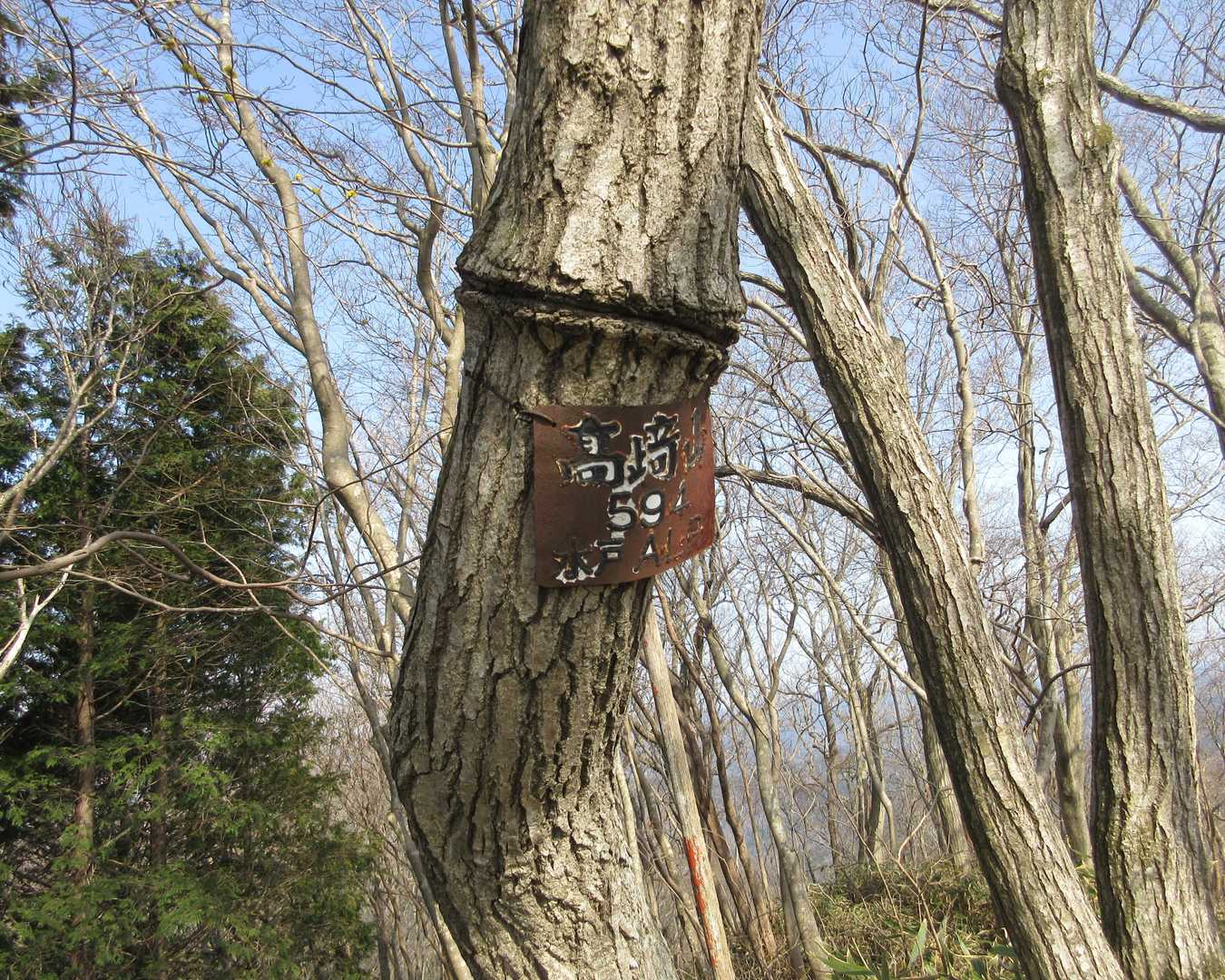 山名板はこれくらい慎ましい方が好感持てます。(^_^)

あくまで個人的感想です...