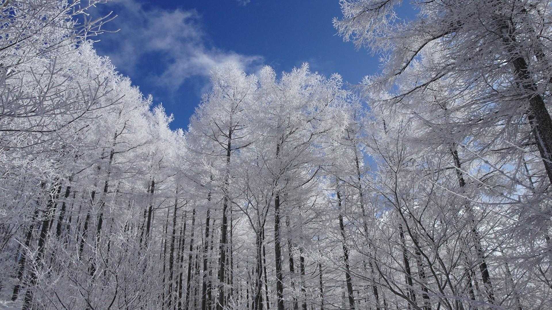 氷の芸術　その１
