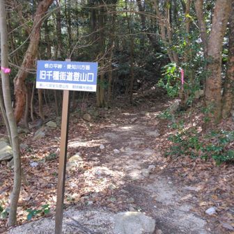 だいぶ下りてきました