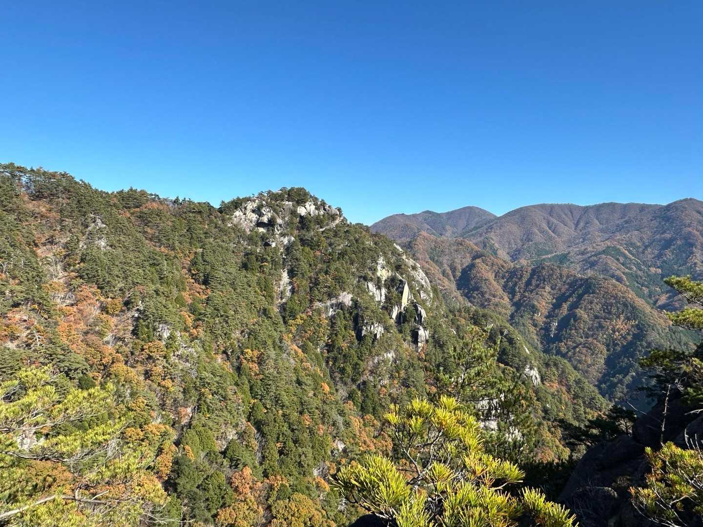 弥三郎岳 往復コースの写真