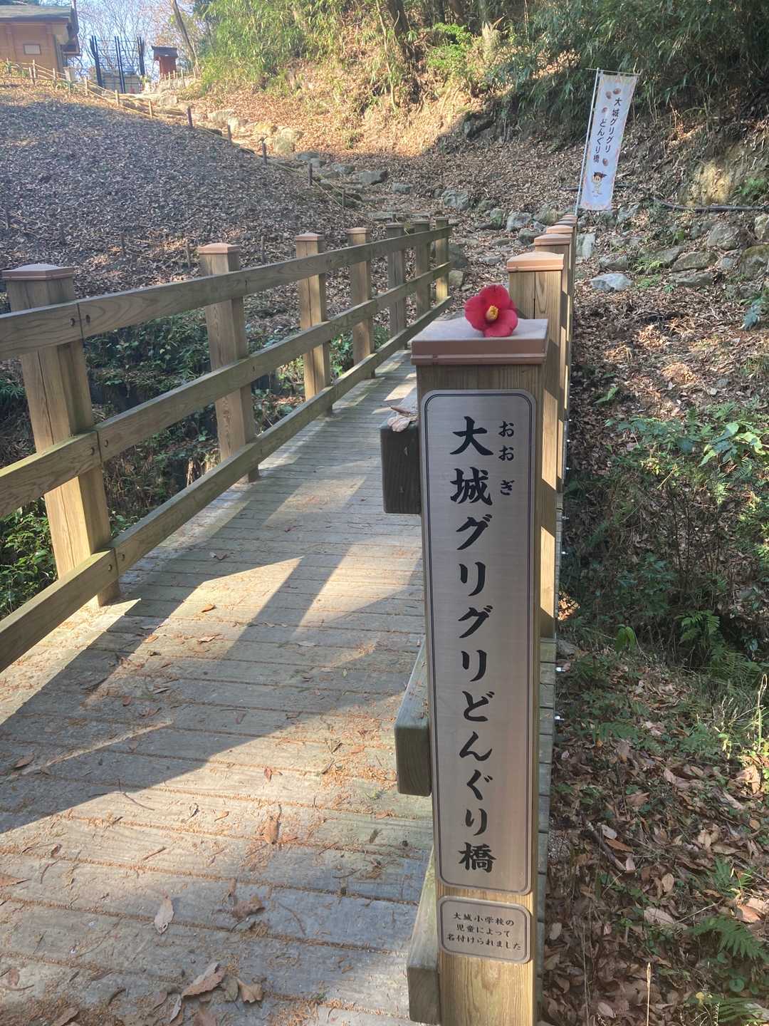 ここまで普通の登山道⛰道路に出る手前にどんぐり橋！しかも大城グリグリどんぐり橋です😆