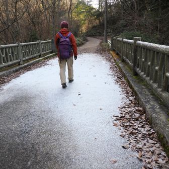 橋の上にはうっすら雪❄
…というより、細かいアラレのような感じ