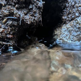こんこんと湧き出る生命の水🔥
川は山の栄養を、海へ運ぶ道である