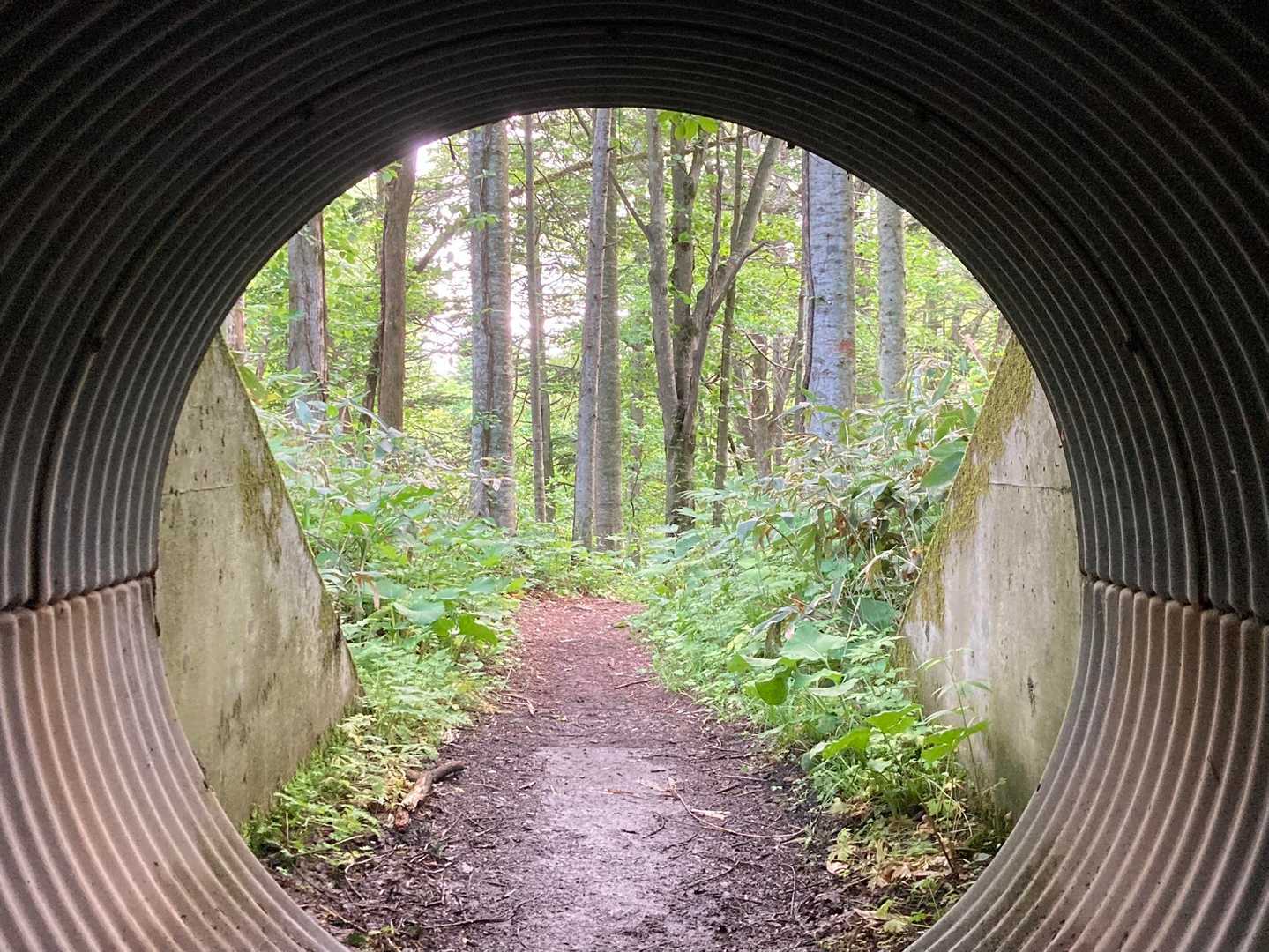 トンネル通過。