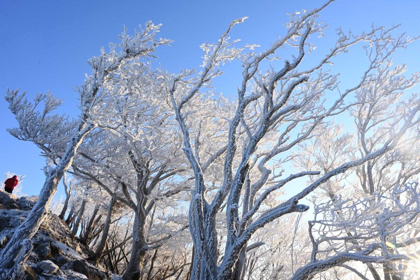 高見峠-高見山 往復コースの写真