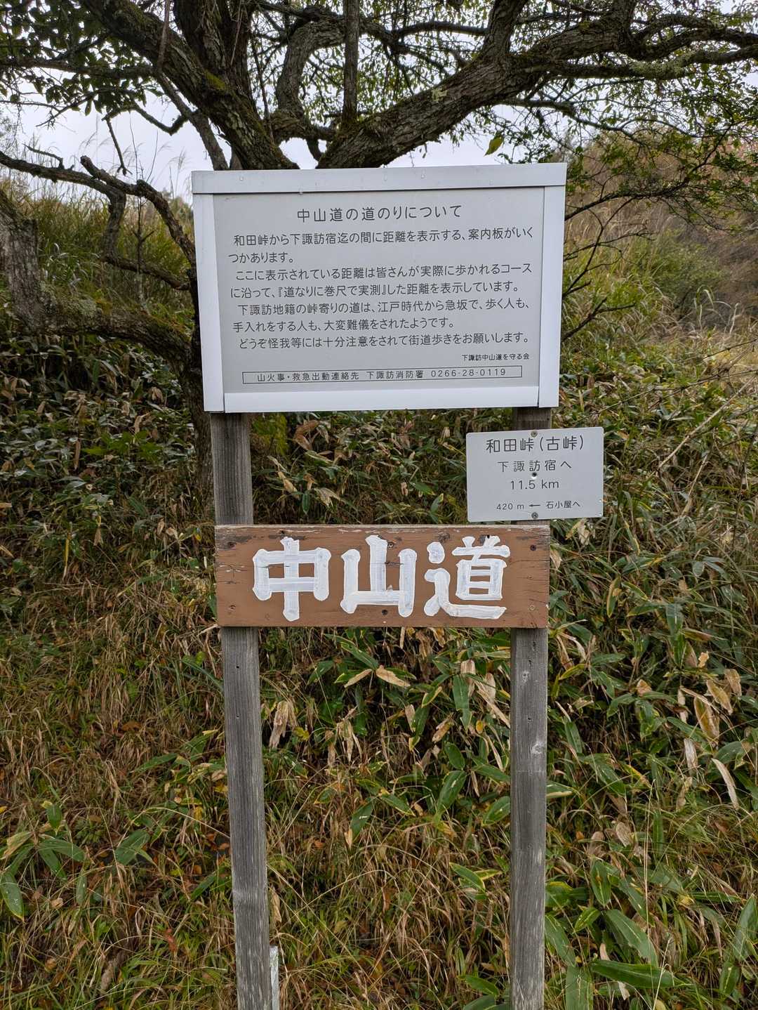 古峠-和田山南峰-和田山北峰 往復コースの写真