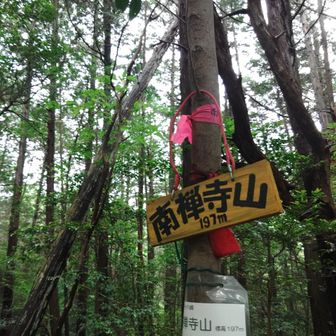 南禅寺山のピークをゲット。
ルート付近なので現地に行かなくてもYAMAPのピークは取れるんですが、やはり現地に行きたいですよねｗ