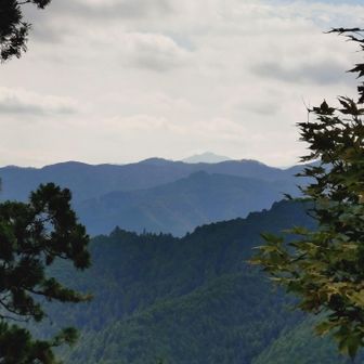 大岳山みっけ