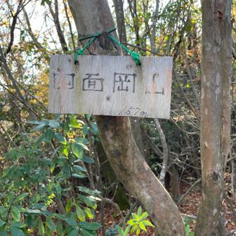 「四面岡山」🙌
この辺り、「◯岡山」という名が多いですが、七岡山と呼ばれる括りがあるそう
どの山が入るかは諸説