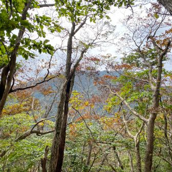 少し紅葉してますね🍁