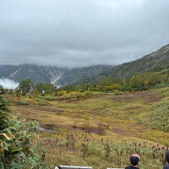 展望台から。白馬岳方面。山の下の方のみやっと見えました。