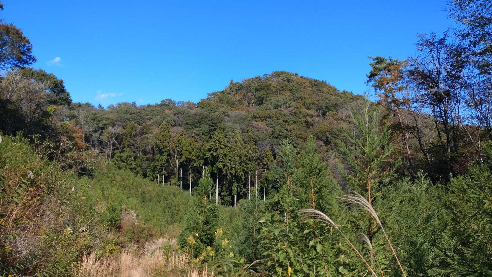 高取山のお隣の山