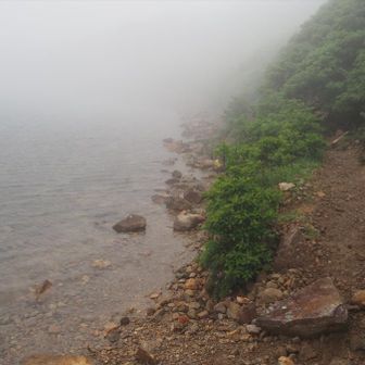 御池に到着…ガッスガス！ここに来て雨が強くってきました。