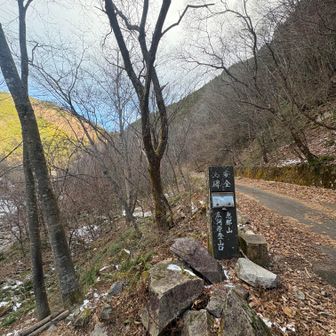 ここから登山道です