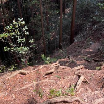 今回は左足の膝外側の腸腰筋が骨と干渉する所が痛い。

お尻周りの筋肉硬すぎなんでしょうね。💦