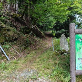 ここを登ります