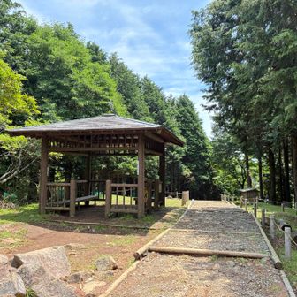 だいぶ降りてきたけどここが見晴らし台らしい