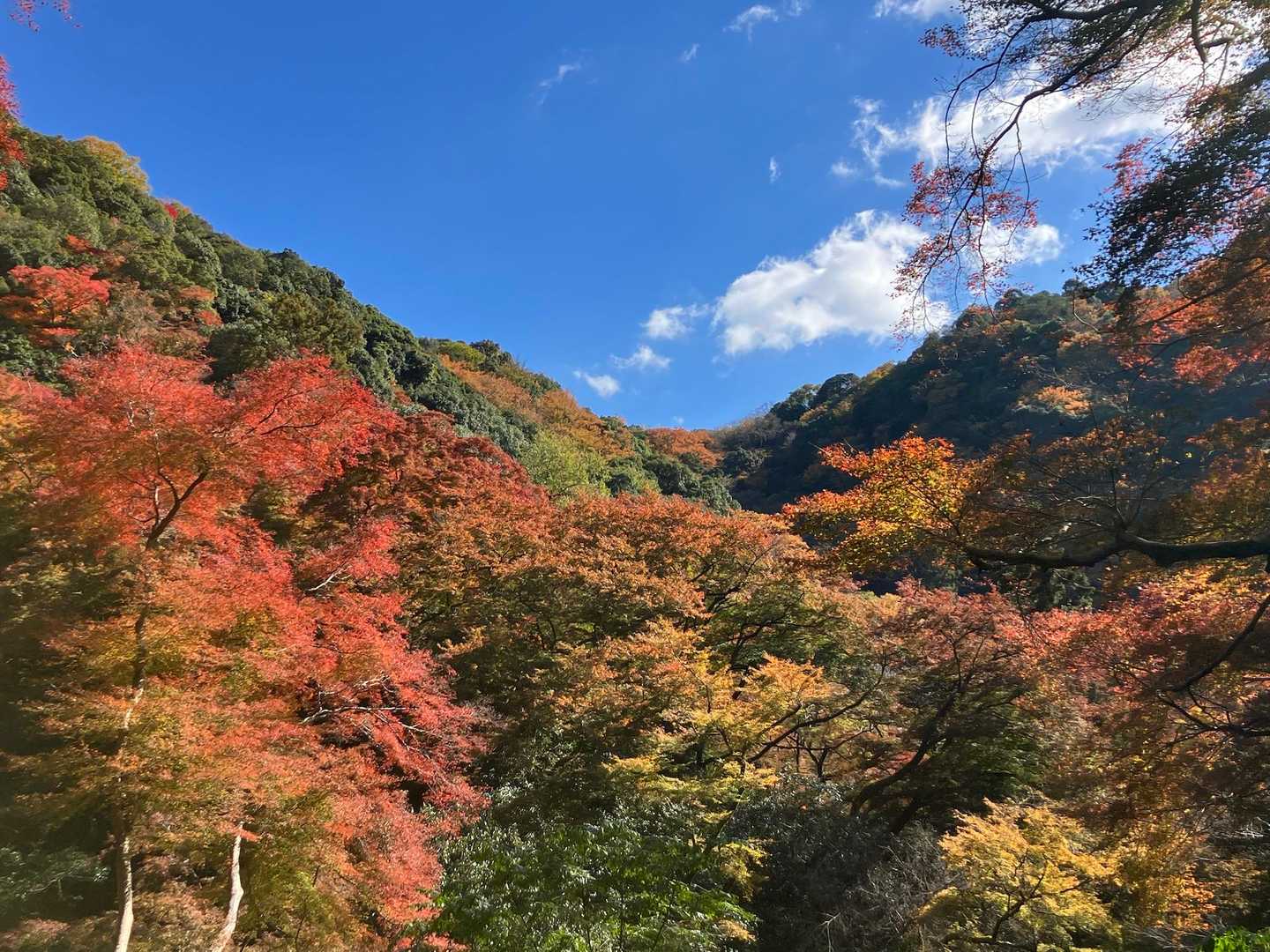 瀧安寺-石子詰登山口-天上ヶ岳 周回コースの写真