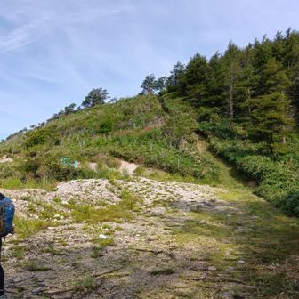林道を歩く事15分程で高嶺の登り口に来ました❢
山頂は帰りに寄りたいのでそのまま林道を進みます⇐