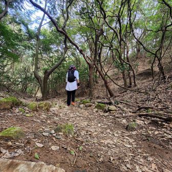 半袖な人。あつすぎた。もう冬まで半袖でいいかも