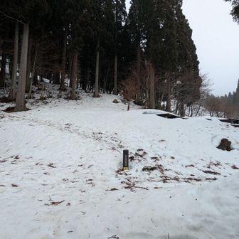 ここから行きますか！