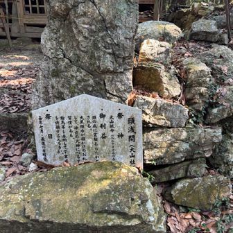 頭の病に霊験あらたか・・
物忘れに効くかしら